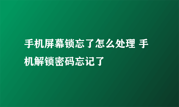 手机屏幕锁忘了怎么处理 手机解锁密码忘记了