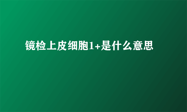 镜检上皮细胞1+是什么意思