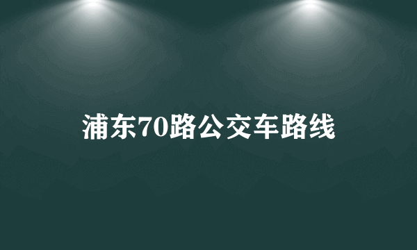 浦东70路公交车路线