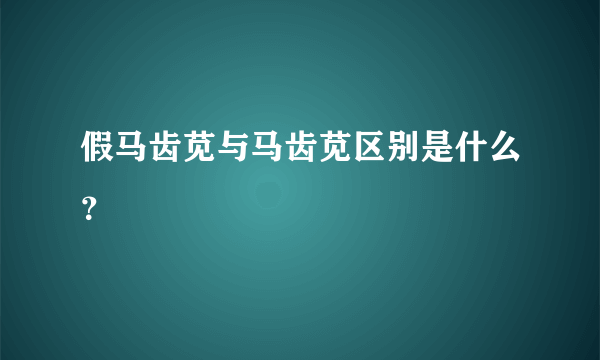 假马齿苋与马齿苋区别是什么？