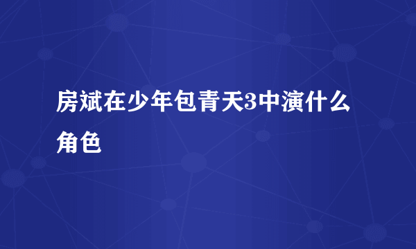 房斌在少年包青天3中演什么角色