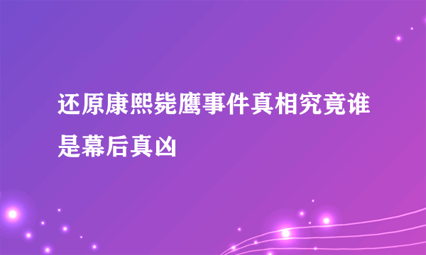 还原康熙毙鹰事件真相究竟谁是幕后真凶