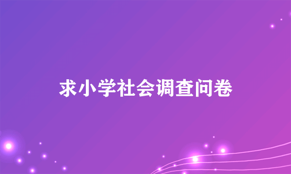 求小学社会调查问卷