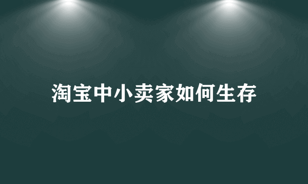 淘宝中小卖家如何生存