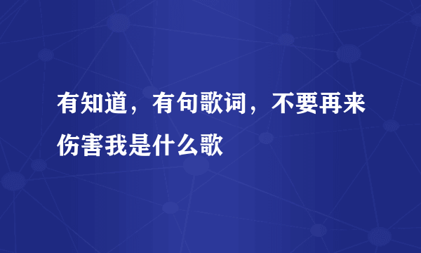 有知道，有句歌词，不要再来伤害我是什么歌