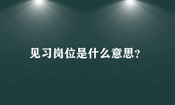 见习岗位是什么意思？