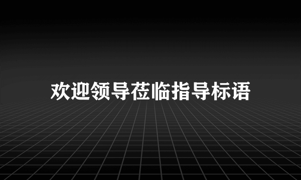 欢迎领导莅临指导标语