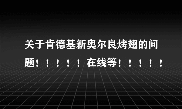 关于肯德基新奥尔良烤翅的问题！！！！！在线等！！！！！