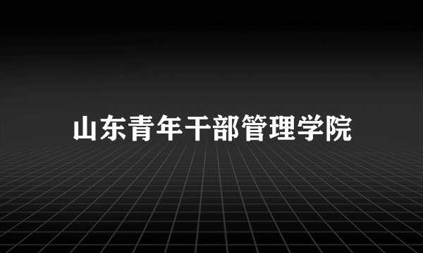 山东青年干部管理学院