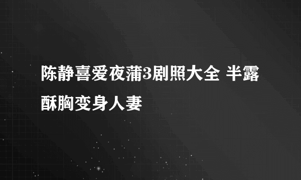 陈静喜爱夜蒲3剧照大全 半露酥胸变身人妻