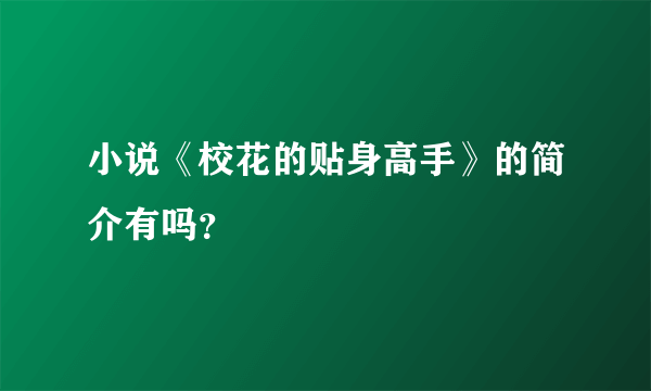 小说《校花的贴身高手》的简介有吗？