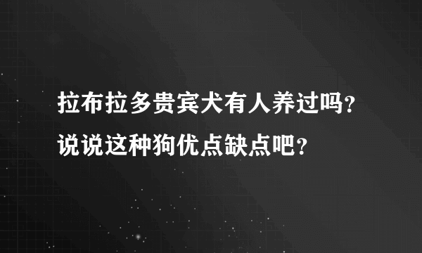 拉布拉多贵宾犬有人养过吗？说说这种狗优点缺点吧？