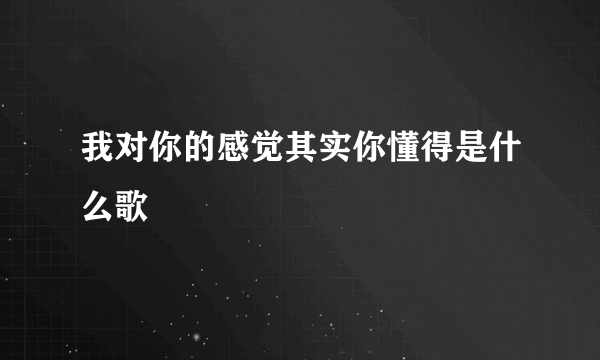 我对你的感觉其实你懂得是什么歌