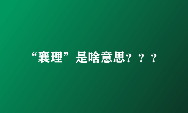 “襄理”是啥意思？？？