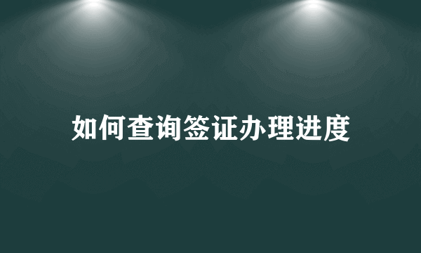 如何查询签证办理进度