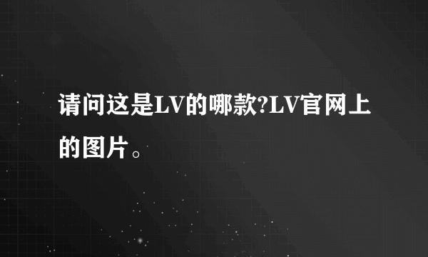 请问这是LV的哪款?LV官网上的图片。