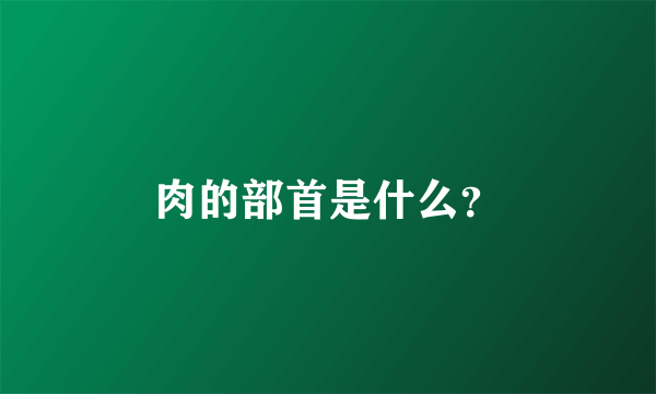 肉的部首是什么？