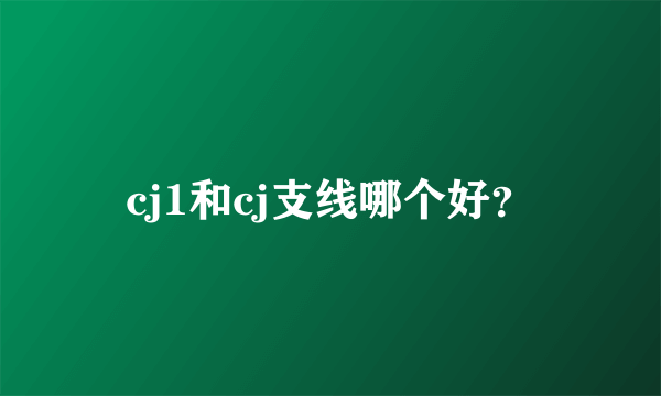 cj1和cj支线哪个好？