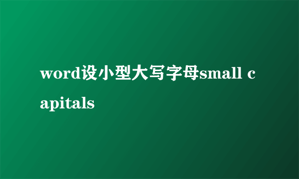 word设小型大写字母small capitals