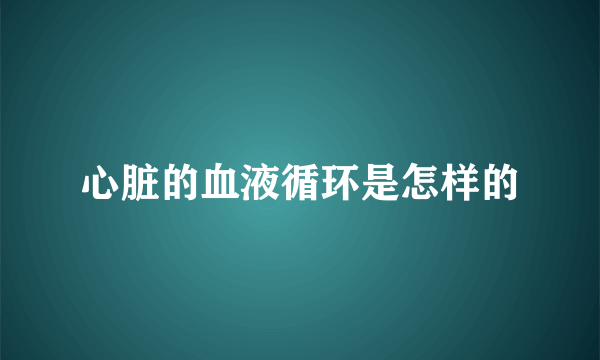 心脏的血液循环是怎样的