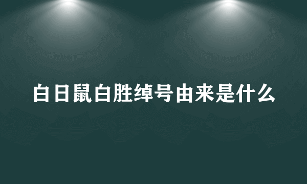 白日鼠白胜绰号由来是什么