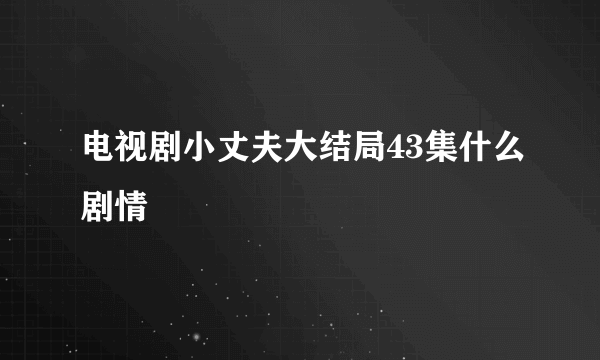 电视剧小丈夫大结局43集什么剧情