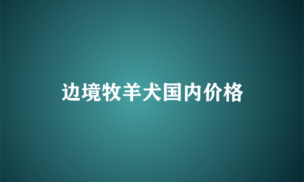 边境牧羊犬国内价格