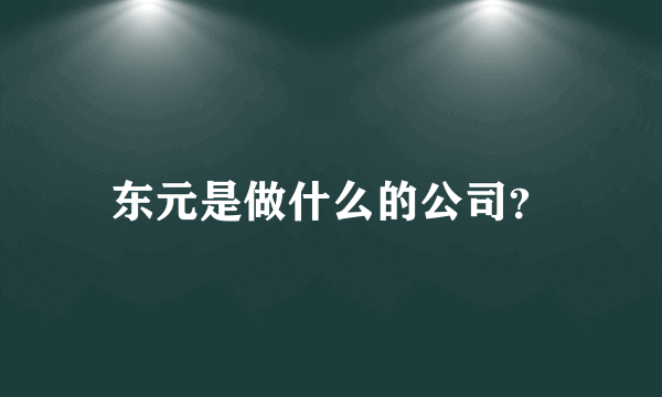 东元是做什么的公司？