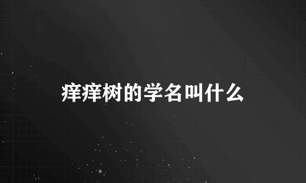 痒痒树的学名叫什么