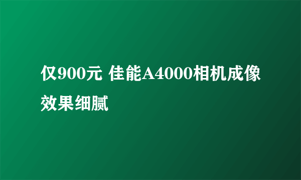 仅900元 佳能A4000相机成像效果细腻