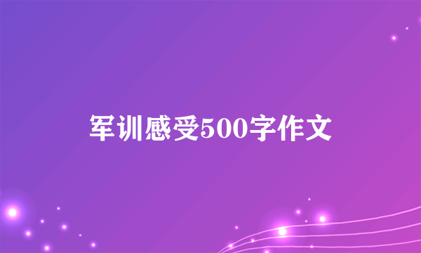 军训感受500字作文