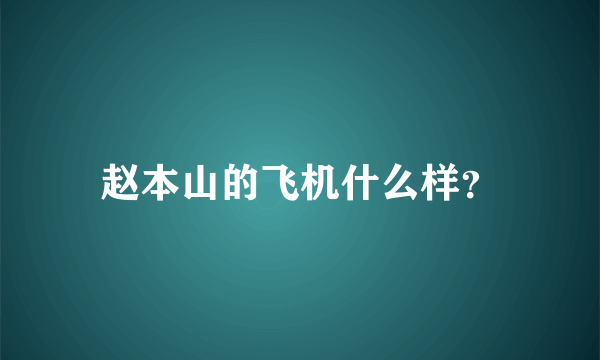 赵本山的飞机什么样？