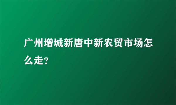 广州增城新唐中新农贸市场怎么走？