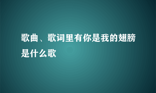 歌曲、歌词里有你是我的翅膀是什么歌