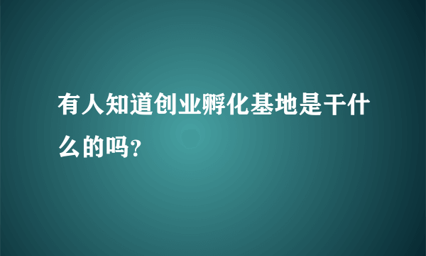 有人知道创业孵化基地是干什么的吗？