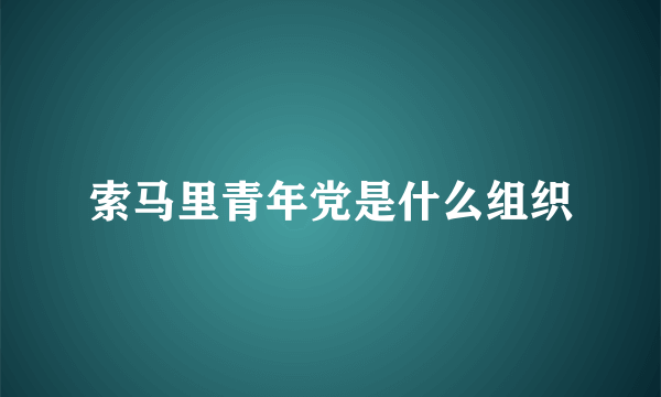 索马里青年党是什么组织