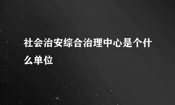 社会治安综合治理中心是个什么单位