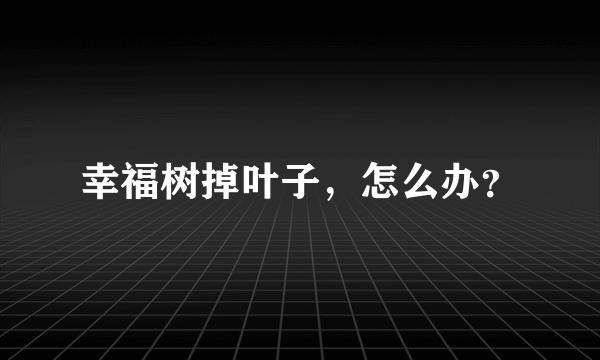 幸福树掉叶子，怎么办？