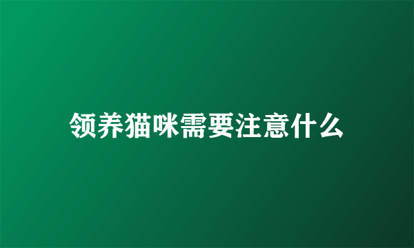 领养猫咪需要注意什么