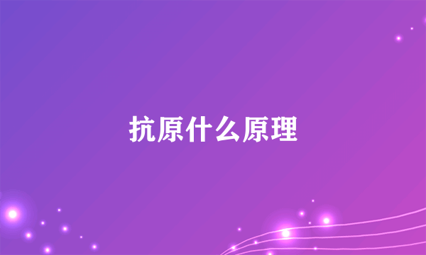 抗原什么原理