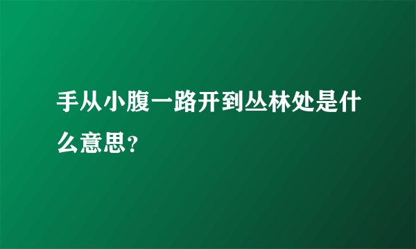 手从小腹一路开到丛林处是什么意思？