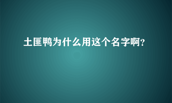 土匪鸭为什么用这个名字啊？