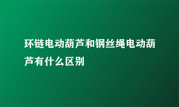 环链电动葫芦和钢丝绳电动葫芦有什么区别