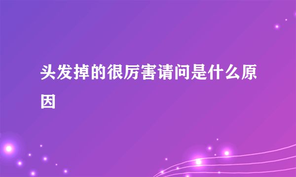 头发掉的很厉害请问是什么原因