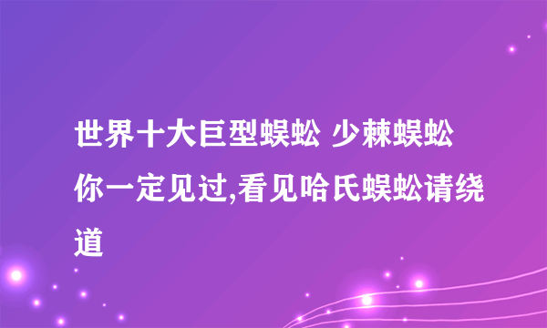 世界十大巨型蜈蚣 少棘蜈蚣你一定见过,看见哈氏蜈蚣请绕道