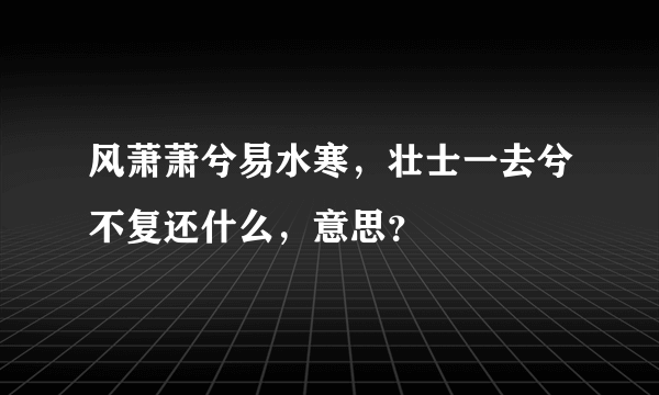 风萧萧兮易水寒，壮士一去兮不复还什么，意思？