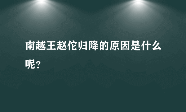 南越王赵佗归降的原因是什么呢？