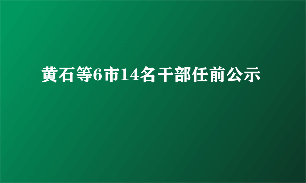 黄石等6市14名干部任前公示