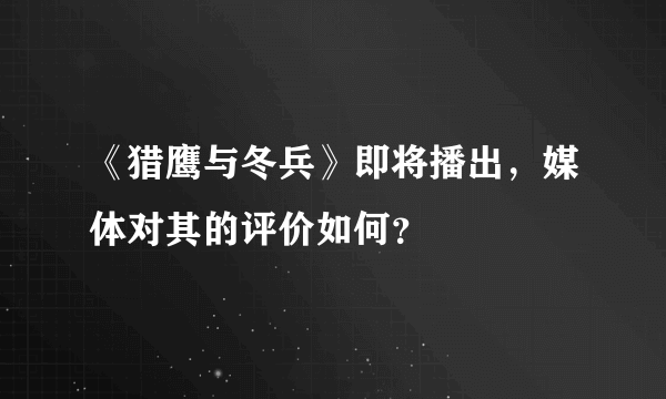 《猎鹰与冬兵》即将播出，媒体对其的评价如何？