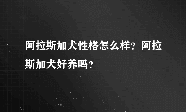 阿拉斯加犬性格怎么样？阿拉斯加犬好养吗？